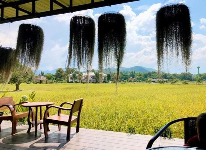 Oon Valley Farm Stay San Kamphaeng Zewnętrze zdjęcie