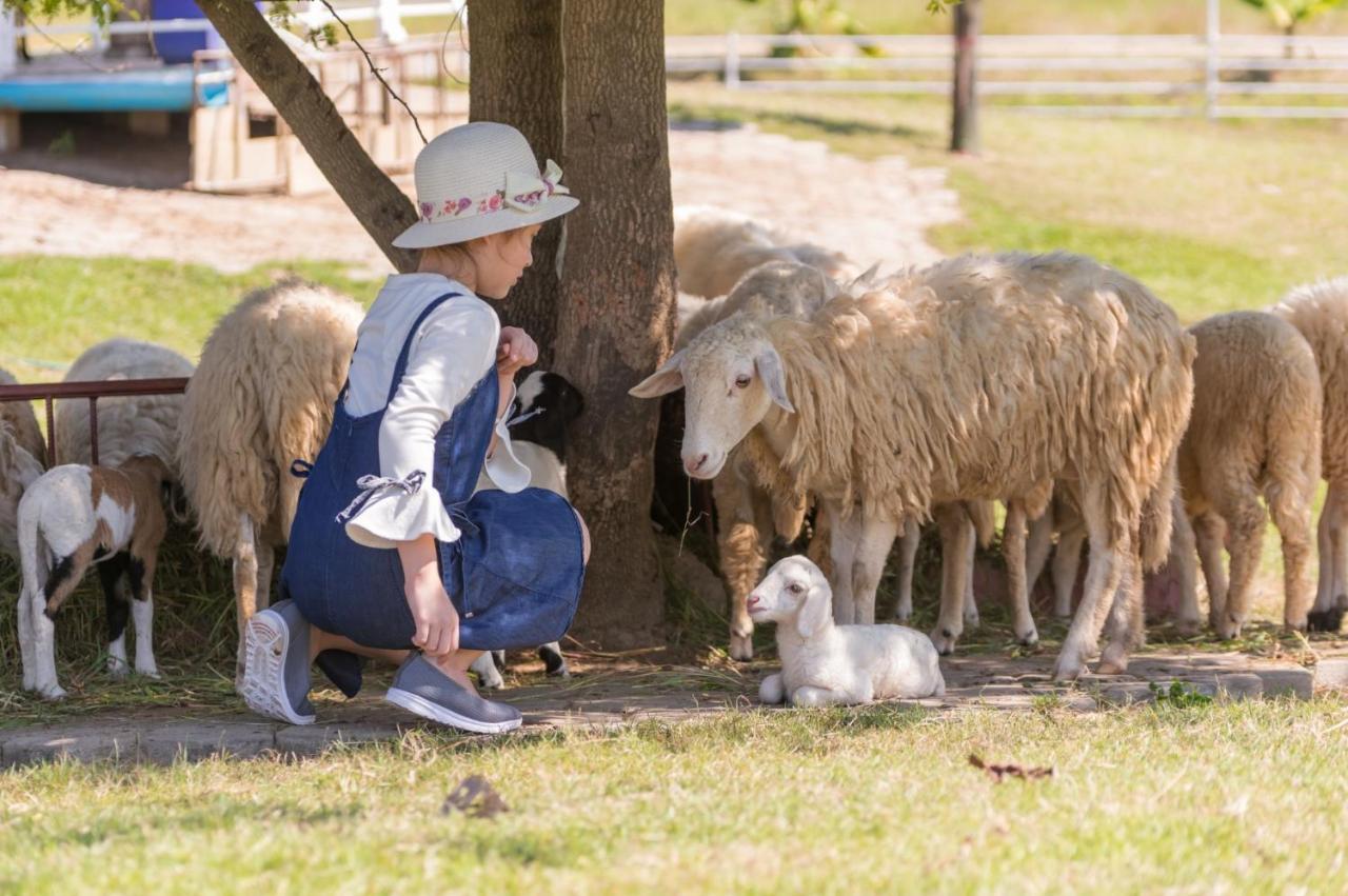 Oon Valley Farm Stay San Kamphaeng Zewnętrze zdjęcie