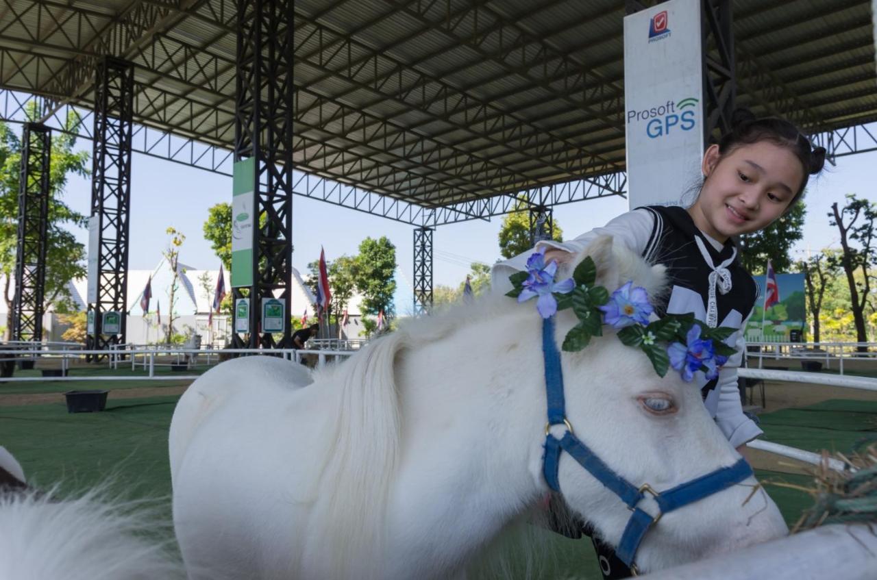 Oon Valley Farm Stay San Kamphaeng Zewnętrze zdjęcie
